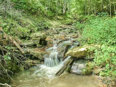 4828 Max Patch Rd, Clyde, NC 28721 - photo 4