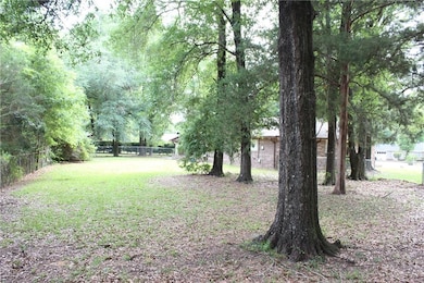 View of back yard