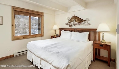 901 E Hyman Ave unit 13, Aspen, CO 81611 - photo 6