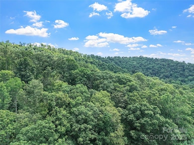 X Bee Branch Rd, Bakersville, NC 28705 - photo 4