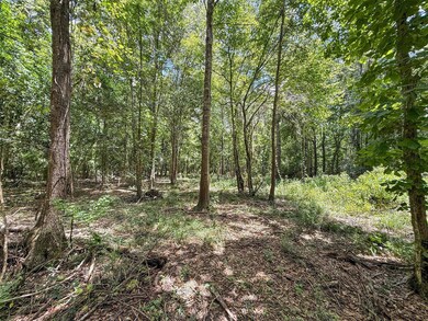 Tbd Hwy 69 N, Woodville, TX 75979 - photo 7