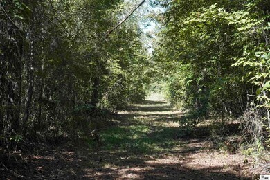 0A Anderson Rd, Choudrant, LA 71227 - photo 6