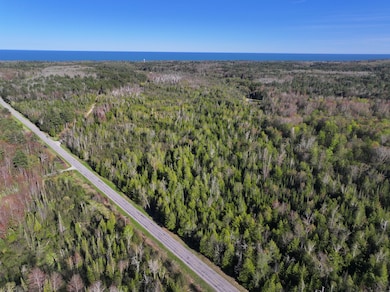 DJI_20250519184348_0513_D