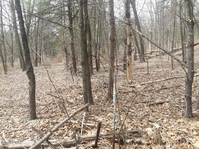 0 Christian Hill Rd, Dingman Township, PA 18337 - photo 3