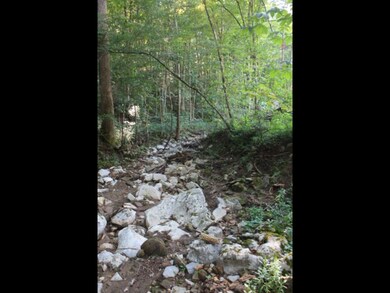 74.45 AC Macedonia Rd, Cookeville, TN 38506 - photo 5