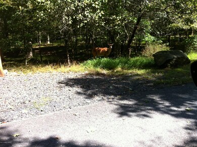 222 Rabbit Ct, Lehman Township, PA 18324 - photo 4