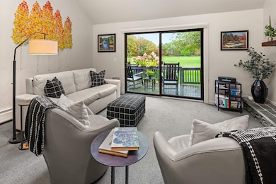 435 Stonybrook Rd unit 29, Stowe, VT 05472 - photo 4