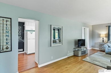 11021 Spring St, Omaha, NE 68144 - photo 6