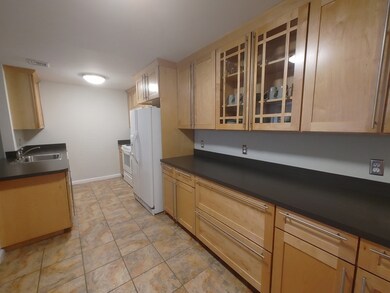 303 Carriage Lane 59 Linden unit 303, Taunton, MA 02780 - photo 7