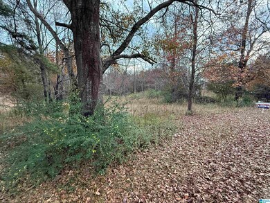 4 Springs Cove Rd, Warrior, AL 35180 - photo 3