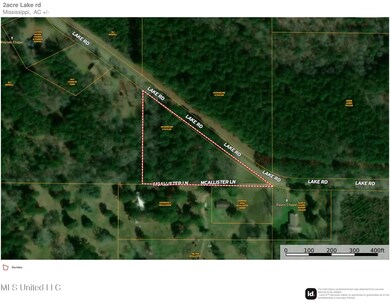 2 acres lake rd areal-1
