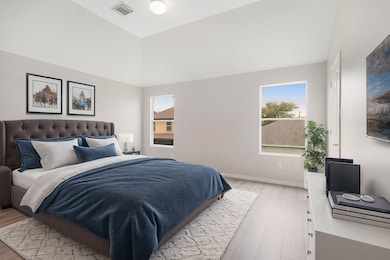 Large Owner's Suite with Tray Ceiling
