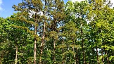20190505_071320