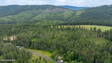 DJI_0390