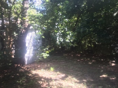 215 Mistletoe St, Fredericksburg, TX 78624 - photo 5