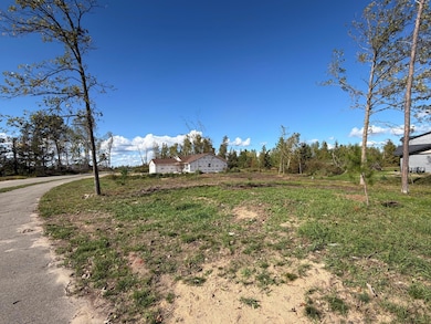 TBD Moonlight Ln SW, Bemidji, MN 56601 - photo 2