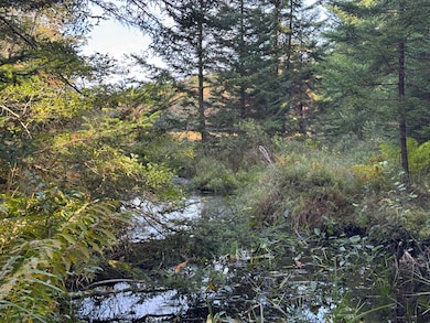 0 Main Rd, Phippsburg, ME 04562 - photo 6