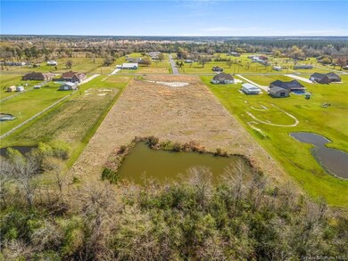 0 Bunker Hill Rd unit SWL25001343, Parish Governing Authority District 2, LA 70611 - photo 3