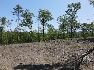 0 Denio Rd unit 5059215, Barnet, VT 05819 - photo 6