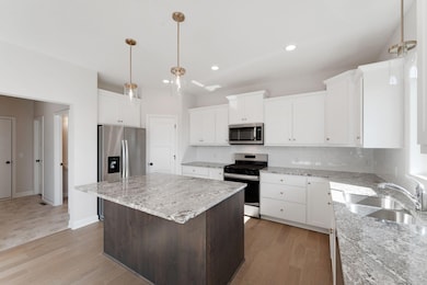 1292 Ardcurra Row, Rosemount, MN 55068 - photo 2