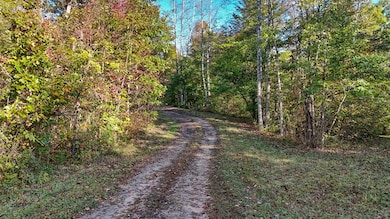 0 Allen Rosen Rd, Dillwyn, VA 23936 - photo 2