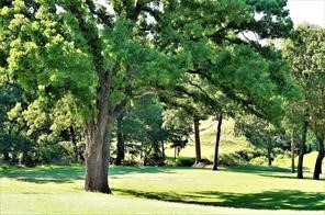 33 Palisades Dr, Gordonville, TX 76245 - photo 6