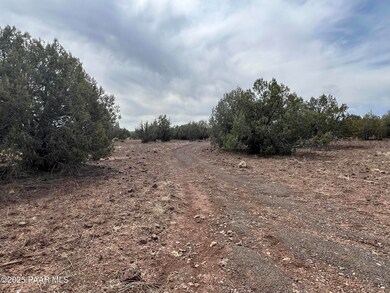 40850 N Stagecoach Blvd, Ash Fork, AZ 86320 - photo 5