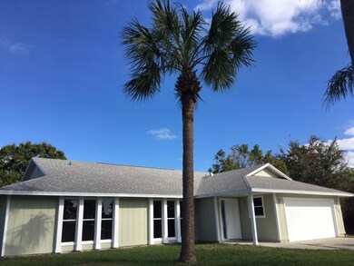 Palm Treee- Gotta Have!