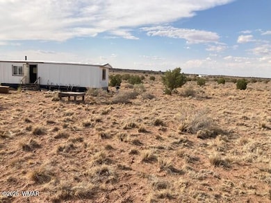 5324 White Antelope Rd, Snowflake, AZ 85937 - photo 3