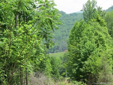 0 Hortons Creek Rd unit 15 3626763, Price Creek, NC 28714 - photo 2