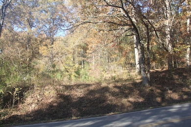 1101 Salem Rd, Rossville, GA 30741 - photo 2