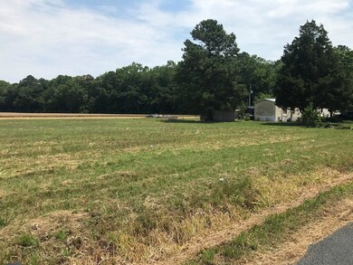 looking towards the neighbor to the East