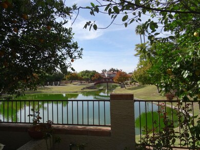 View from Patio