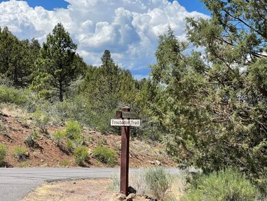 0 Troubador Trail unit lot 10 220125718, Klamath Falls, OR 97601 - photo 3