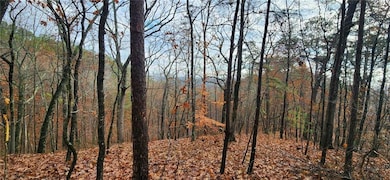 561 Parable Ct, Ranger, GA 30734 - photo 2