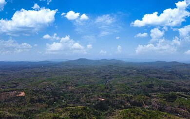 Additional View