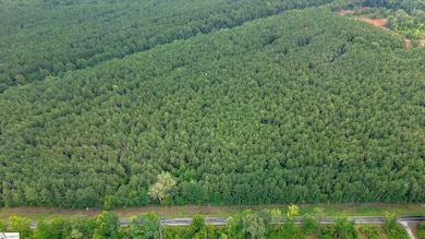 00 Shrine Club Rd, Waterloo, SC 29384 - photo 6