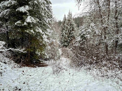 NKA Deer Creek Rd, Valley, WA 99181 - photo 6