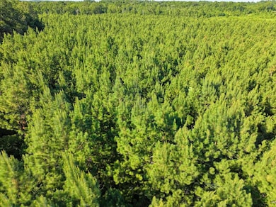 US 70 W, Dierks, AR 71846 - photo 7