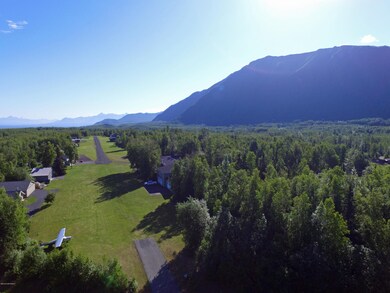 Airstrip parking