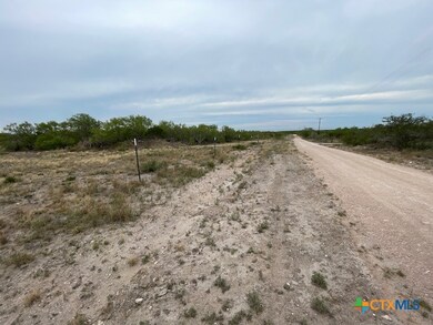 0 Tr 123 Triple T-Bar-l Rch unit 592173, Freer, TX 78341 - photo 4