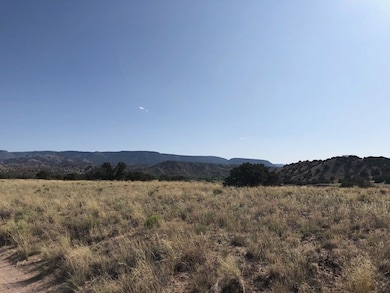 Lots 4&5 Santa California Subd, Medanales, NM 87510 - photo 5