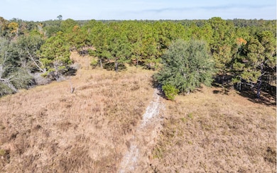TBD7 129th Rd, Live Oak, FL 32060 - photo 2