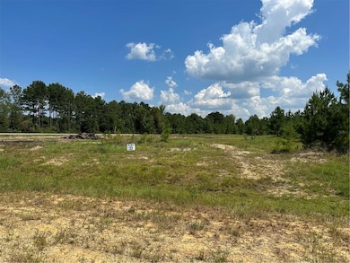 Lot 32 the Banks Drive Hwy 16 Hwy, Franklinton, LA 70438 - photo 3