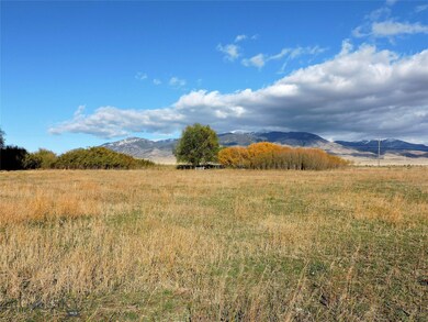 Irrigated pasture for your critters