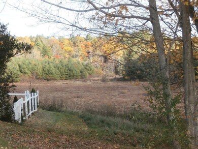 Looking at the back field from the...