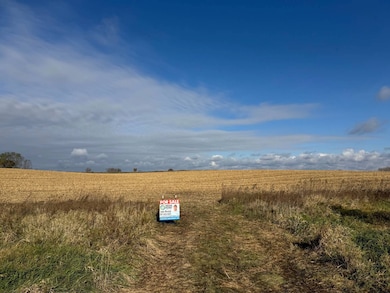 TBD 75th St SE, Rochester, MN 55904 - photo 4