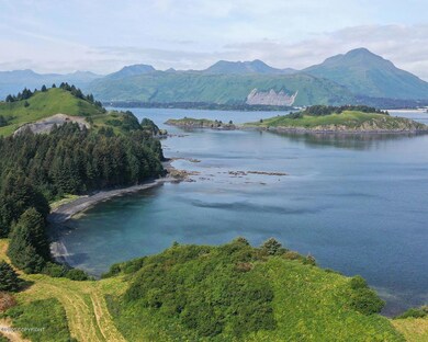 L9 Beaches - Cliff Point Estates, Kodiak, AK 99615 - photo 2