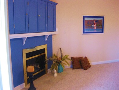 FP/ TV in Great Room!