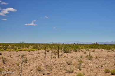 Fenceline Along West Boundary